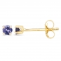 Preview: Ohrstecker/Ohrringe Tansanit 14 Karat Gelbgold (585er)-0,22 Karat