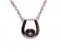 Preview: Collier/Kette m.Anhänger-Hufeisen-Amethyst-Silber/Rhodiniert