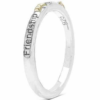 Verlobungsring/Freundschaftsring/Ehering/Jahrestag-Silber/Gold mit Gravur