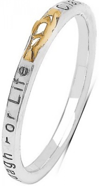 Verlobungsring/Freundschaftsring/Ehering/Jahrestag-Silber/Gold mit Gravur